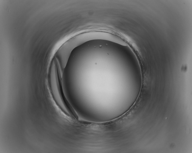X0000091491520200708161428