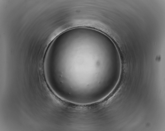X0000091491521200708161428
