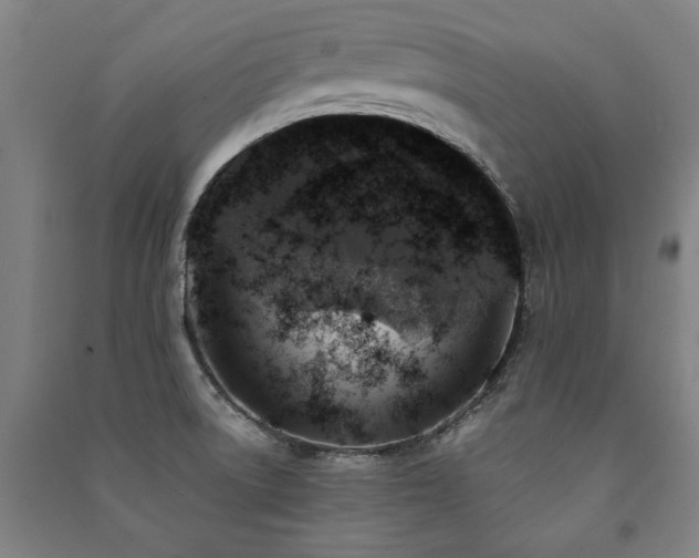 X0000091491522200708161428