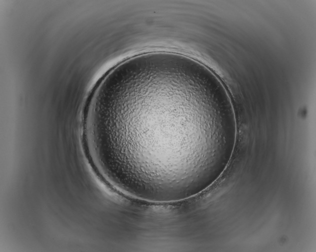 X0000091491523200708161428