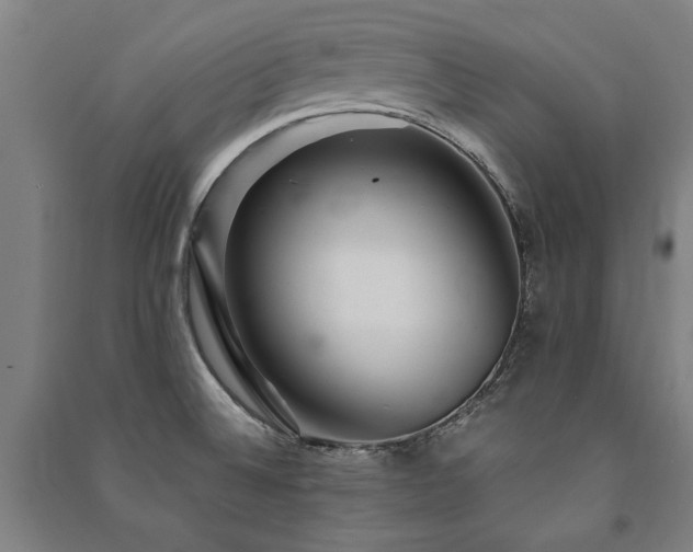 X0000091491524200708161428