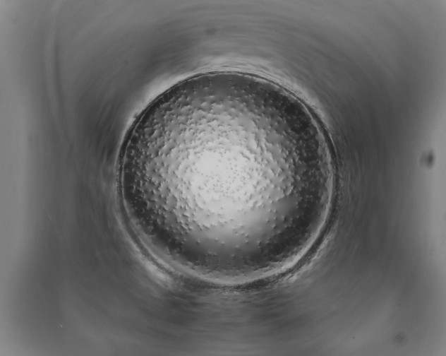 X0000091491525200708161428