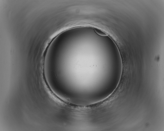 X0000091491526200708161428