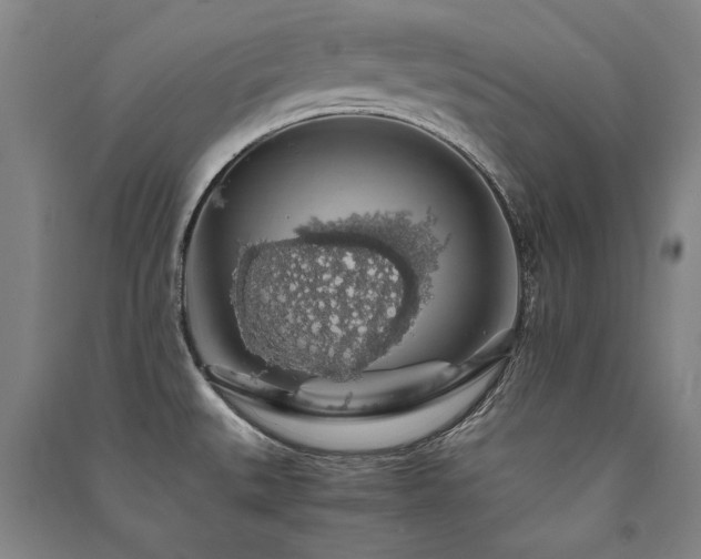 X0000091491527200708161428
