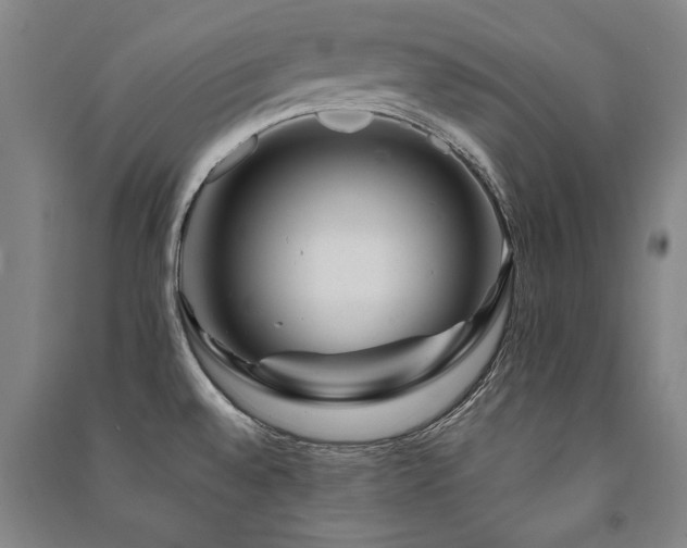 X0000091491528200708161428