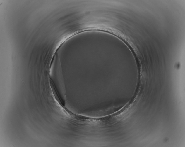 X0000091491529200708161429