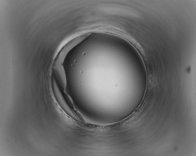 X0000091491530200708161429