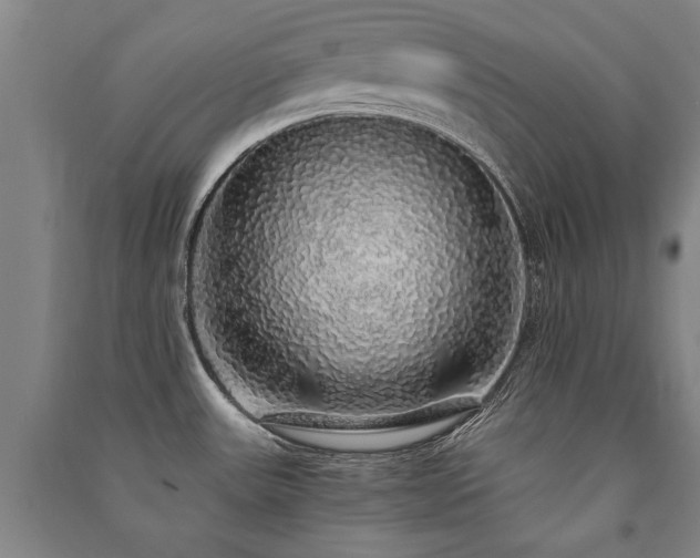 X0000091491531200708161429