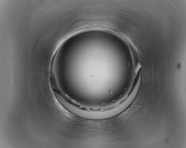 X0000091491532200708161429