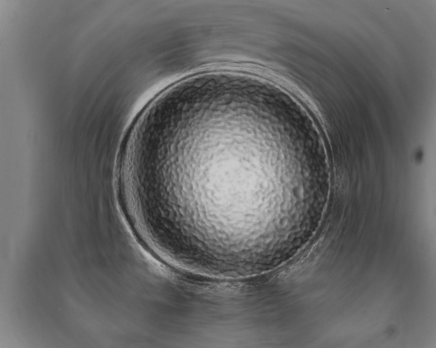X0000091491533200708161429