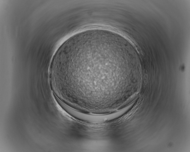 X0000091491535200708161429