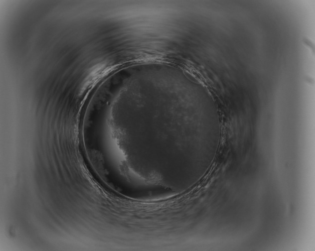 X0000091490002200708231432