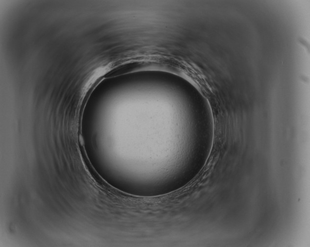 X0000091490003200708231432