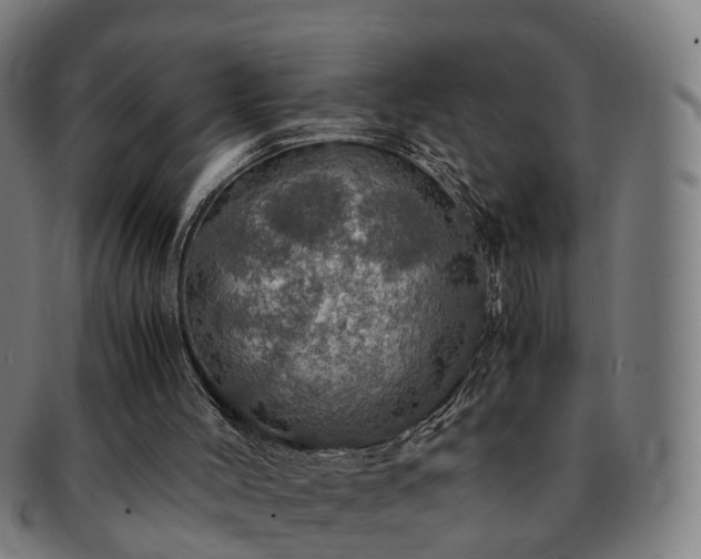 X0000091490004200708231432