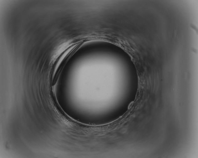 X0000091490005200708231432