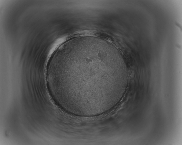 X0000091490006200708231432