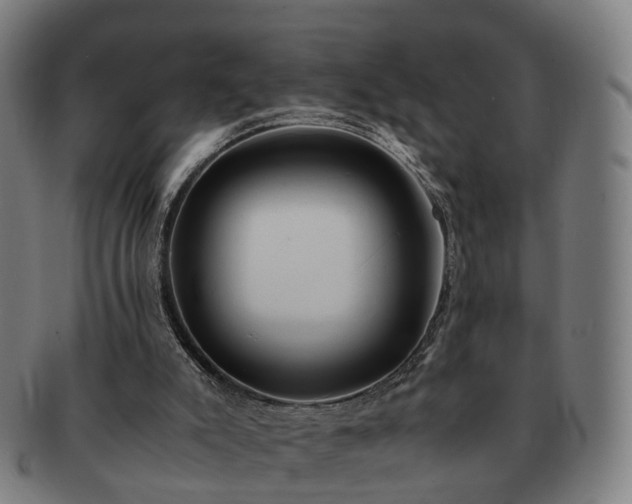 X0000091490007200708231432