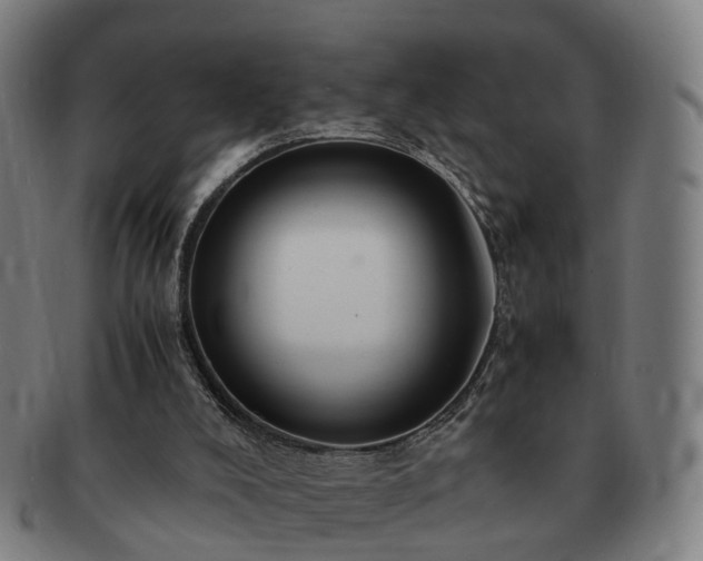 X0000091490008200708231432