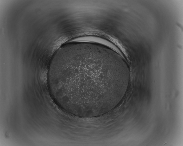 X0000091490010200708231432