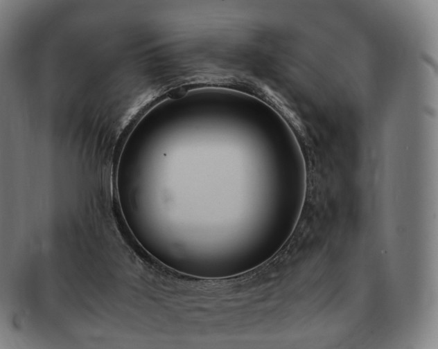 X0000091490011200708231432