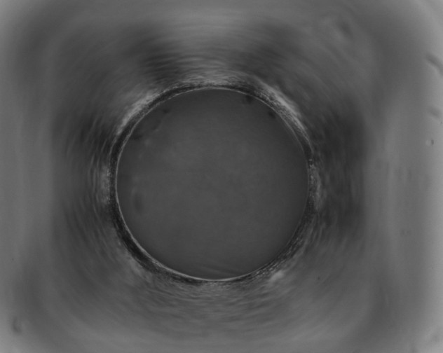 X0000091490012200708231432