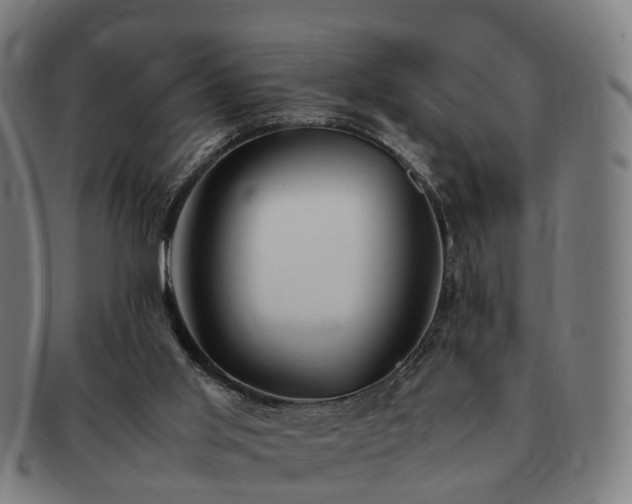 X0000091490013200708231432