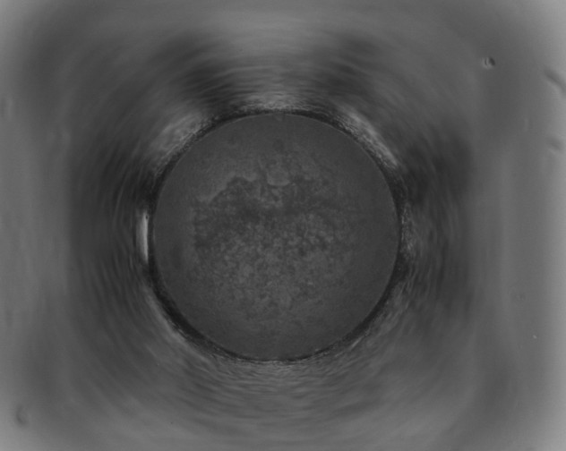 X0000091490014200708231432