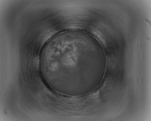 X0000091490016200708231432