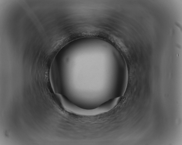 X0000091490017200708231432