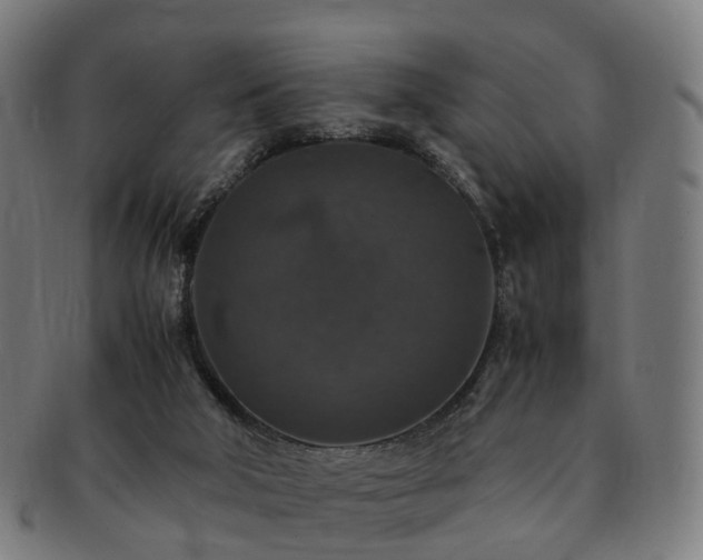 X0000091490018200708231432