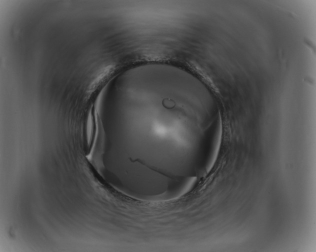 X0000091490019200708231432