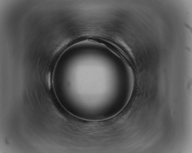 X0000091490020200708231432