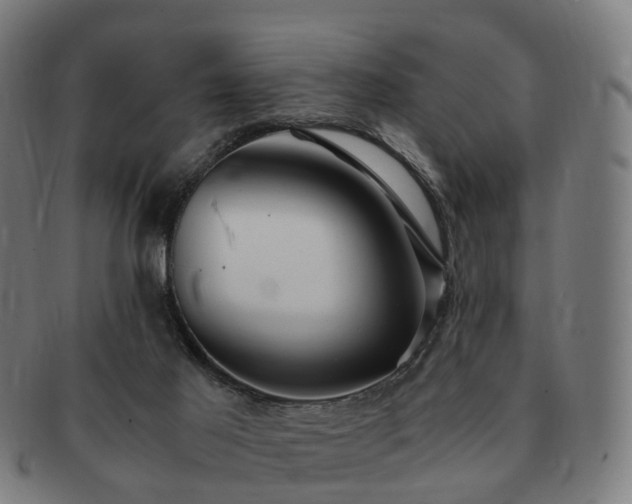 X0000091490021200708231432