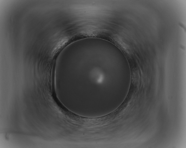 X0000091490023200708231432