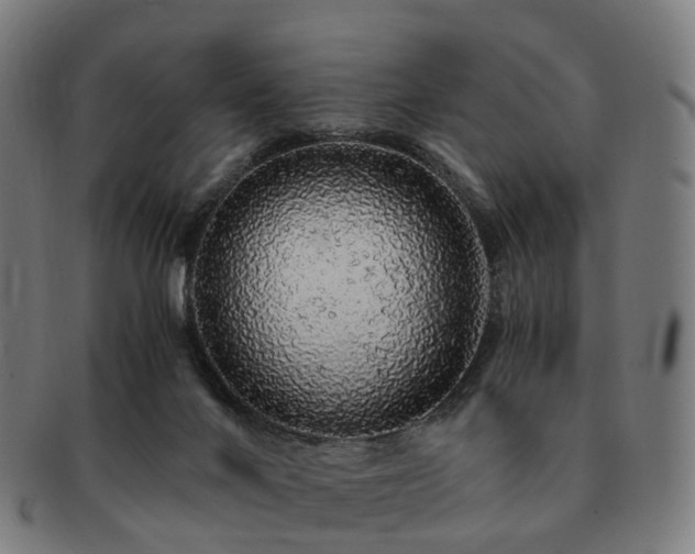 X0000091490024200708231432