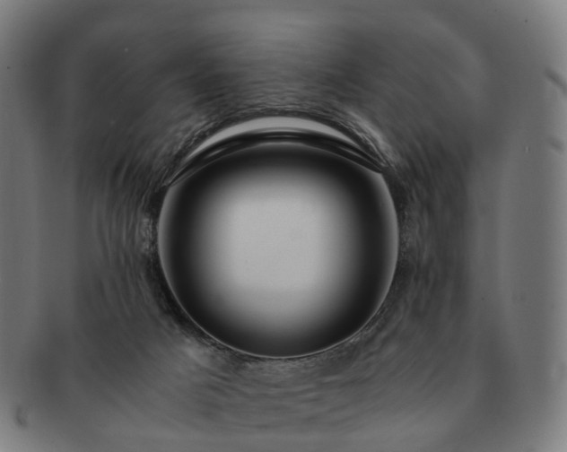 X0000091490025200708231432