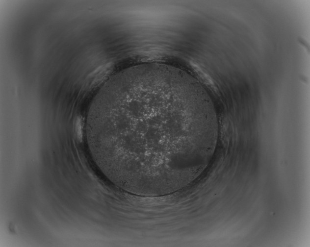 X0000091490026200708231432