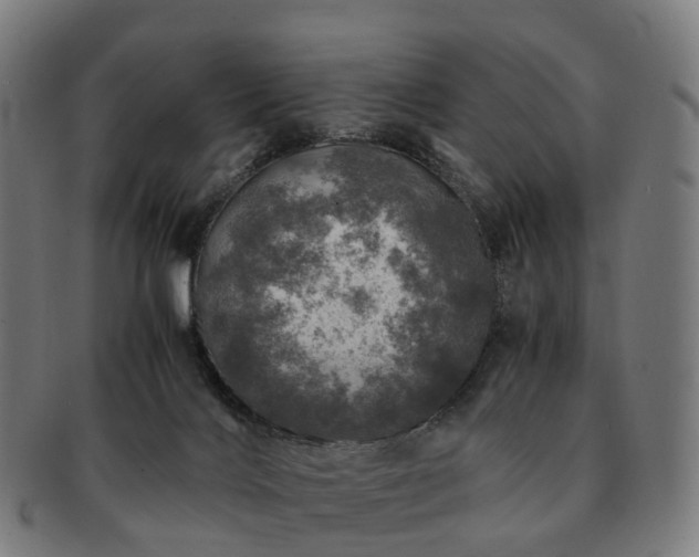 X0000091490028200708231431