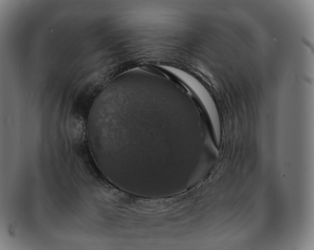 X0000091490029200708231431