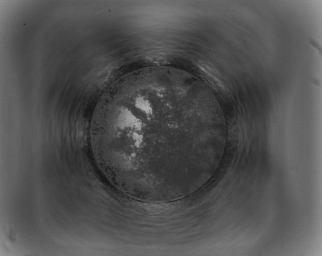 X0000091490030200708231431