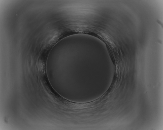 X0000091490031200708231431