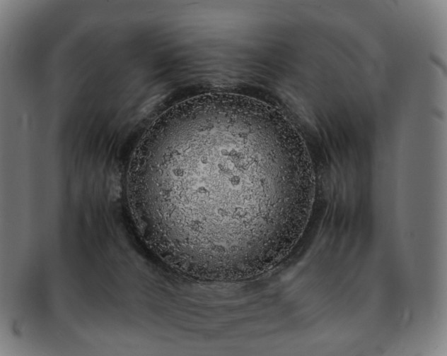 X0000091490032200708231431