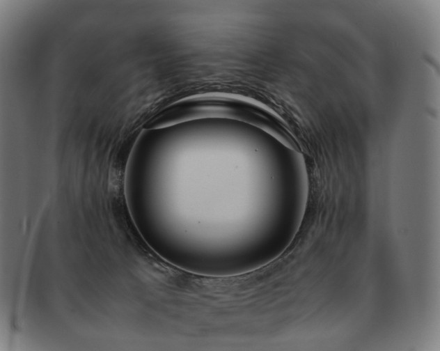 X0000091490033200708231431