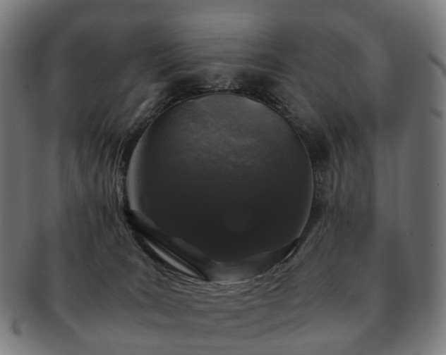 X0000091490035200708231431