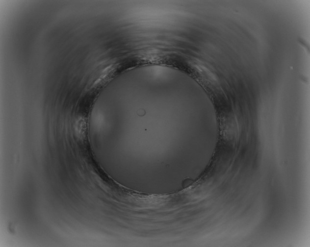 X0000091490036200708231431