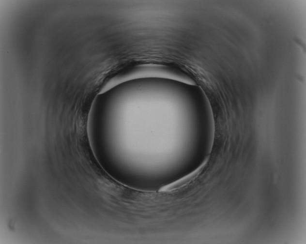 X0000091490037200708231431