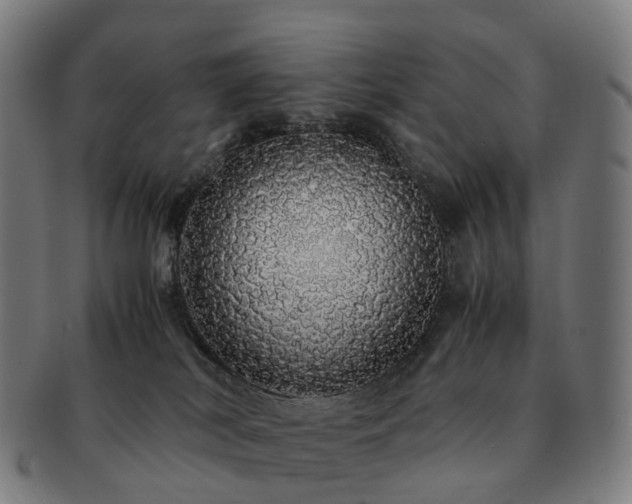 X0000091490038200708231431