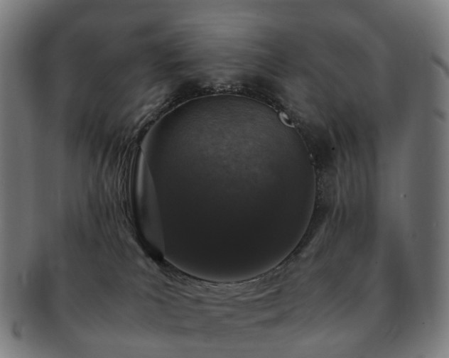 X0000091490039200708231431