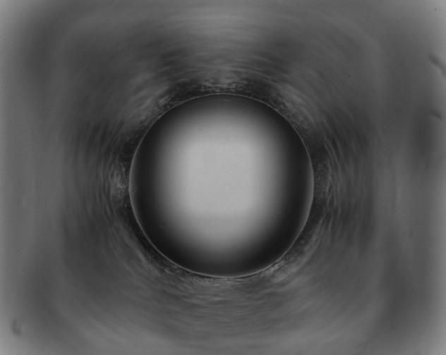 X0000091490040200708231431