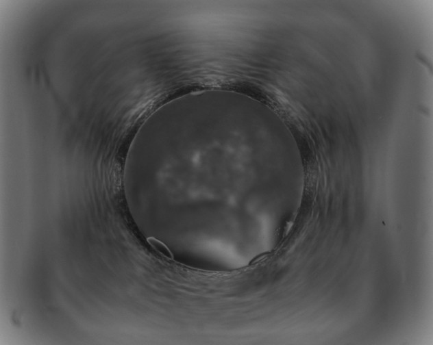 X0000091490043200708231431